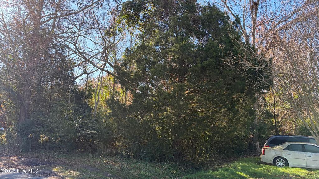 Photo of 0 George Street, Belhaven, NC 27810 (MLS # 100543132)