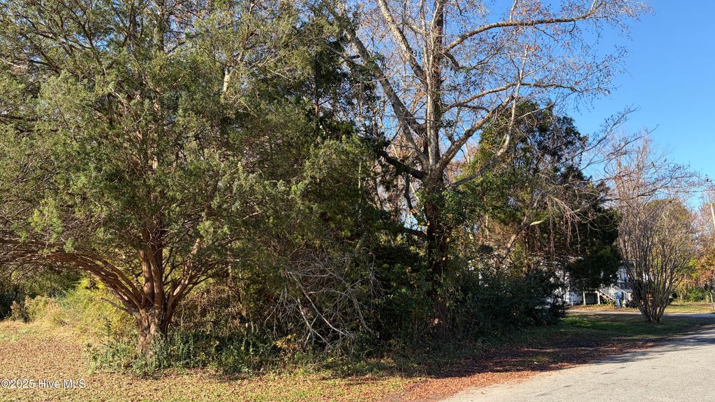 Photo of 0 George Street, Belhaven, NC 27810 (MLS # 100543132)