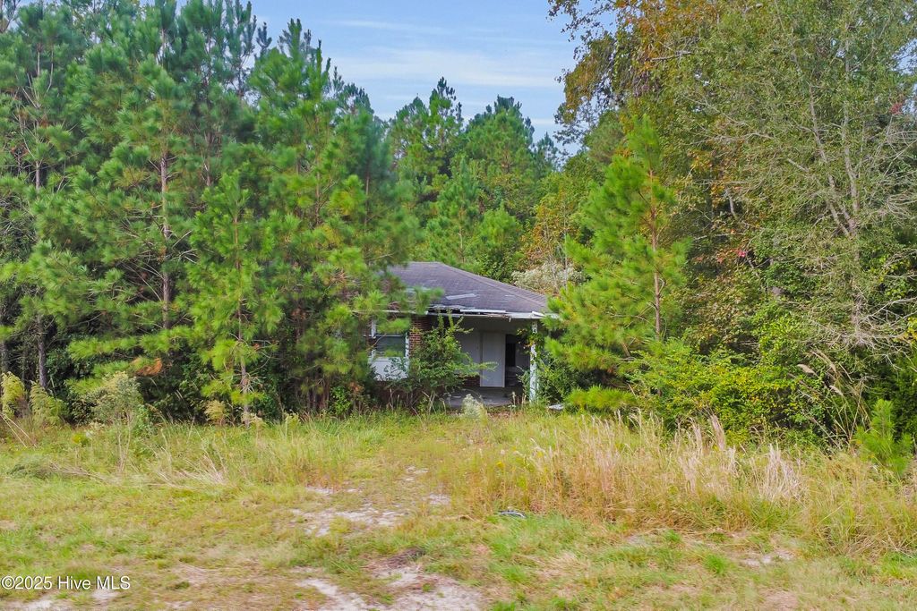 Photo of 10710 Highway 17, Pollocksville, NC 28573 (MLS # 100536040)