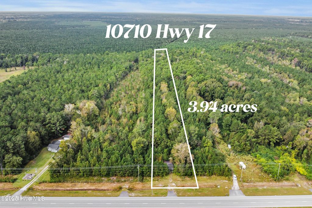 Photo of 10710 Highway 17, Pollocksville, NC 28573 (MLS # 100536040)