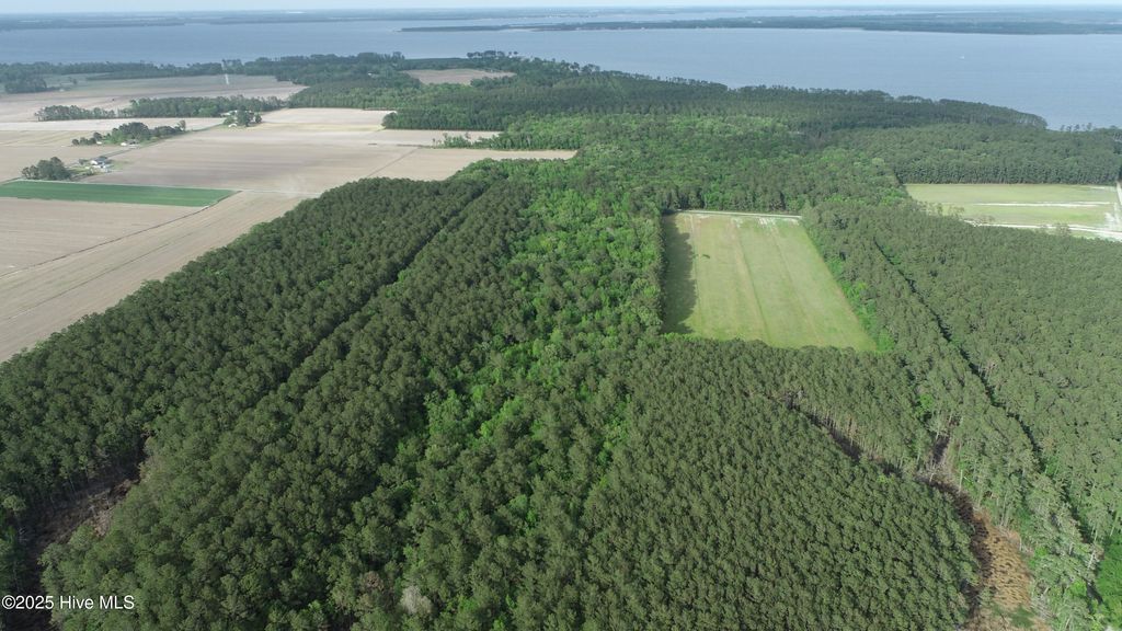 Photo of 0 State Route 1772 Off, Bath, NC 27808 (MLS # 100503617)