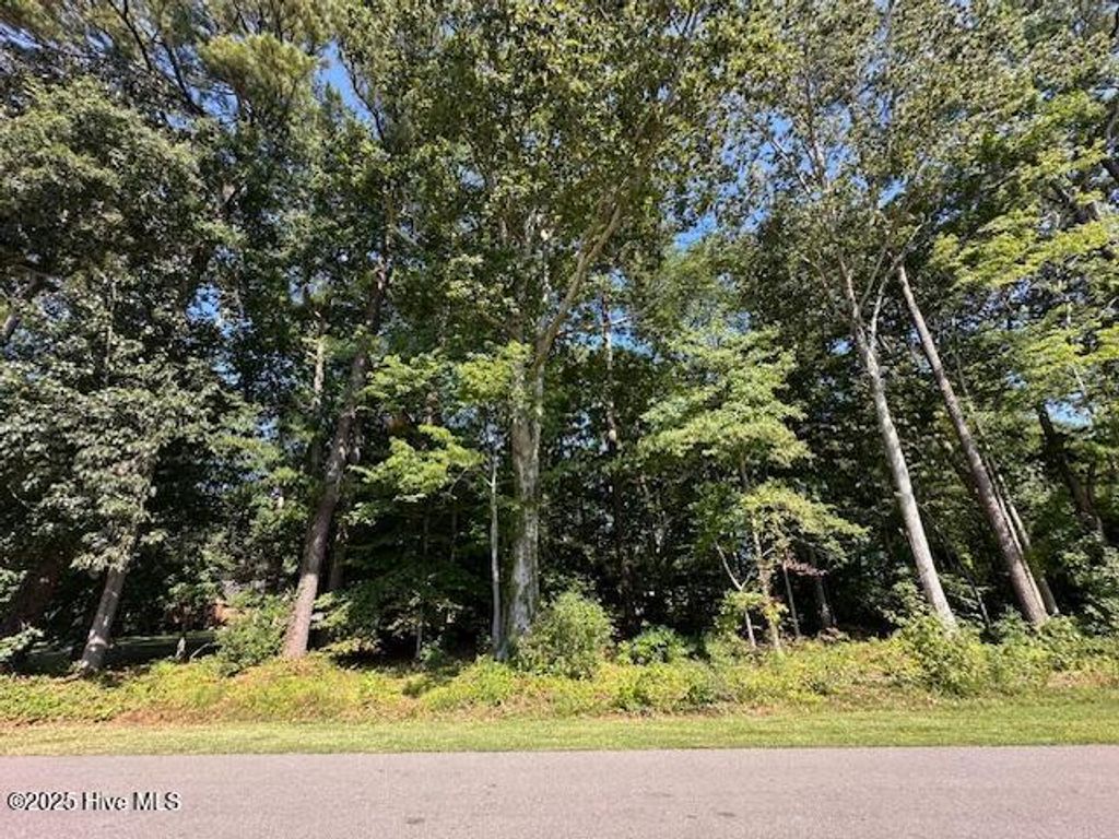 Photo of 0000 Riddick Road, Elizabeth City, NC 27909 (MLS # 100542140)