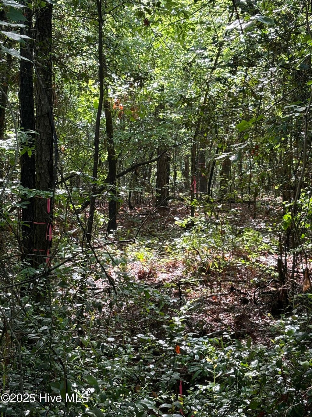 Photo of 809 Sumac Lane, Vass, NC 28394 (MLS # 100506745)