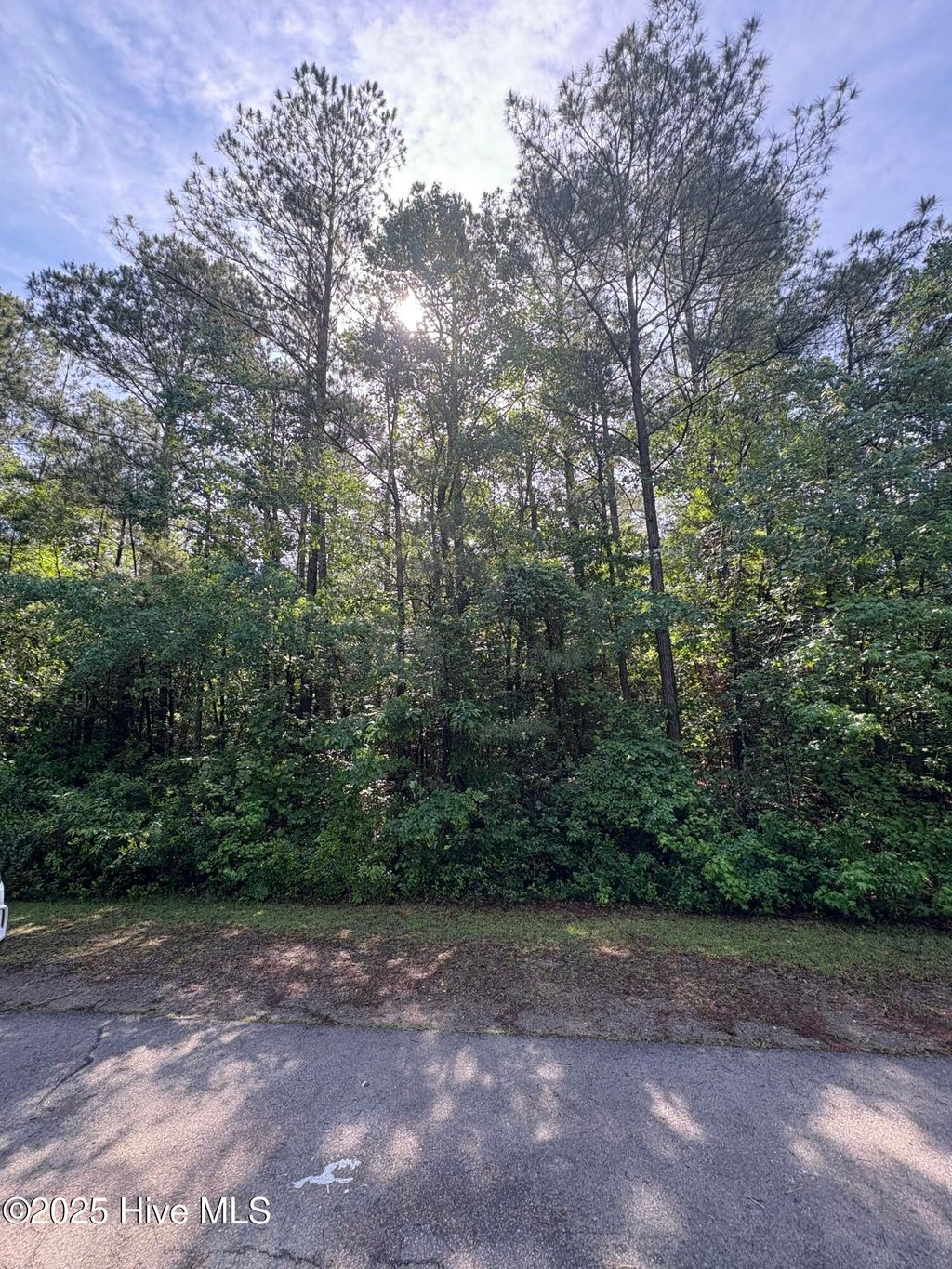 Photo of 809 Sumac Lane, Vass, NC 28394 (MLS # 100506745)