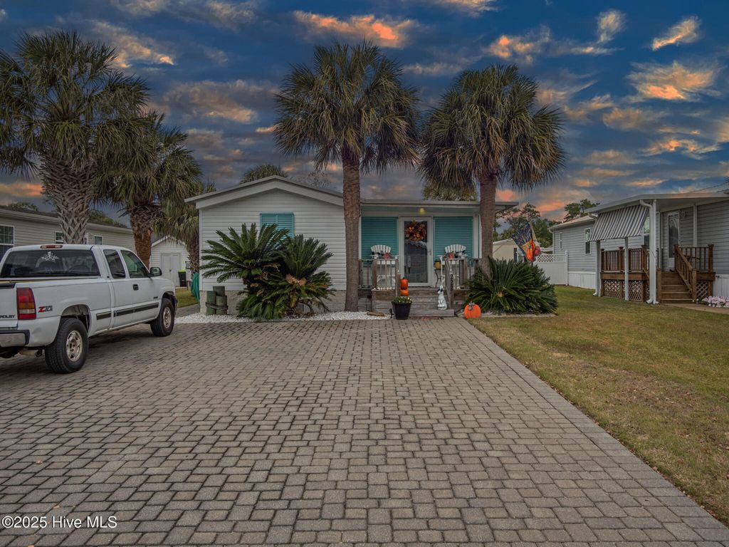 Photo of 222 Blue Goose Lane, Newport, NC 28570 (MLS # 100538534)