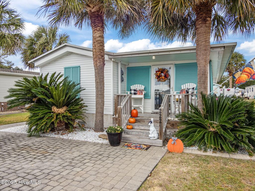 Photo of 222 Blue Goose Lane, Newport, NC 28570 (MLS # 100538534)