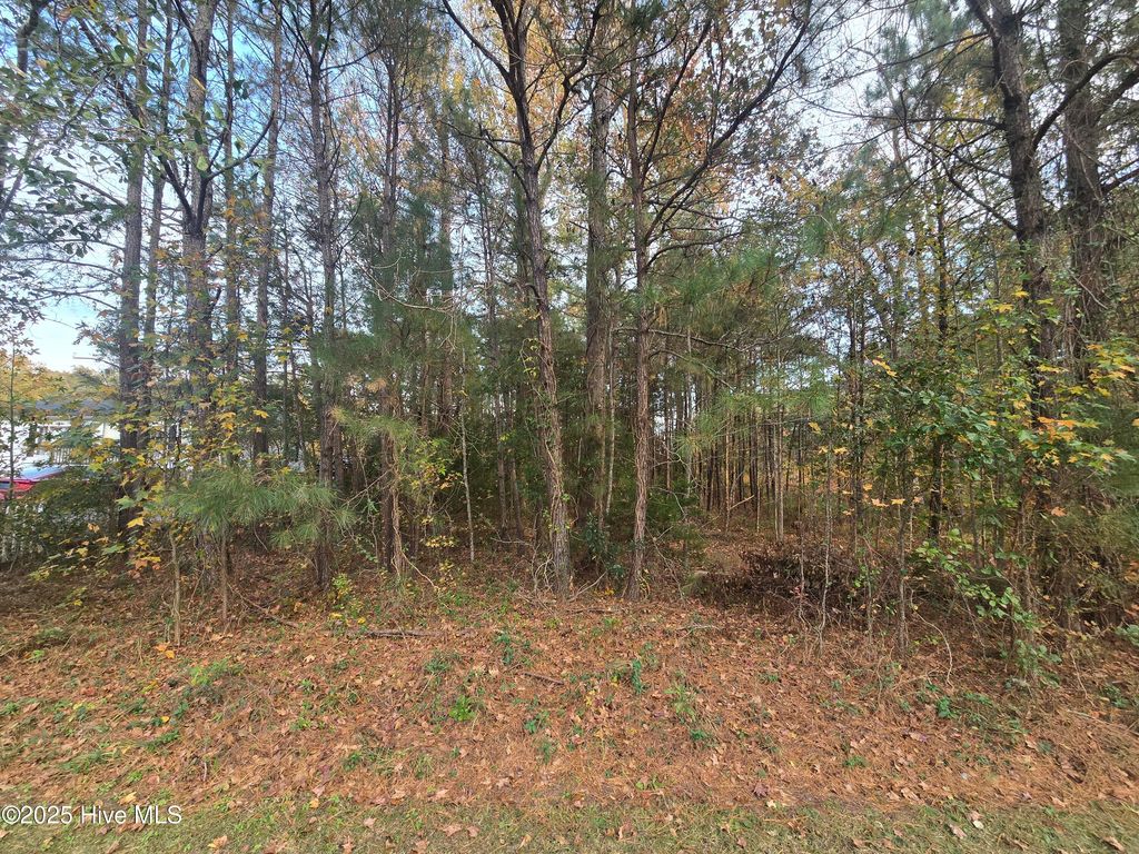 Photo of 1275 Skipper Run Drive SW, Supply, NC 28462 (MLS # 100543157)