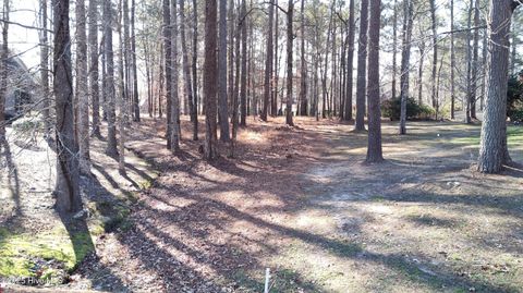 Photo of 209 Connecticut Drive, Chocowinity, NC 27817 (MLS # 100482955)