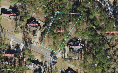 Photo of 317 Neuse Drive, Chocowinity, NC 27817 (MLS # 100503291)
