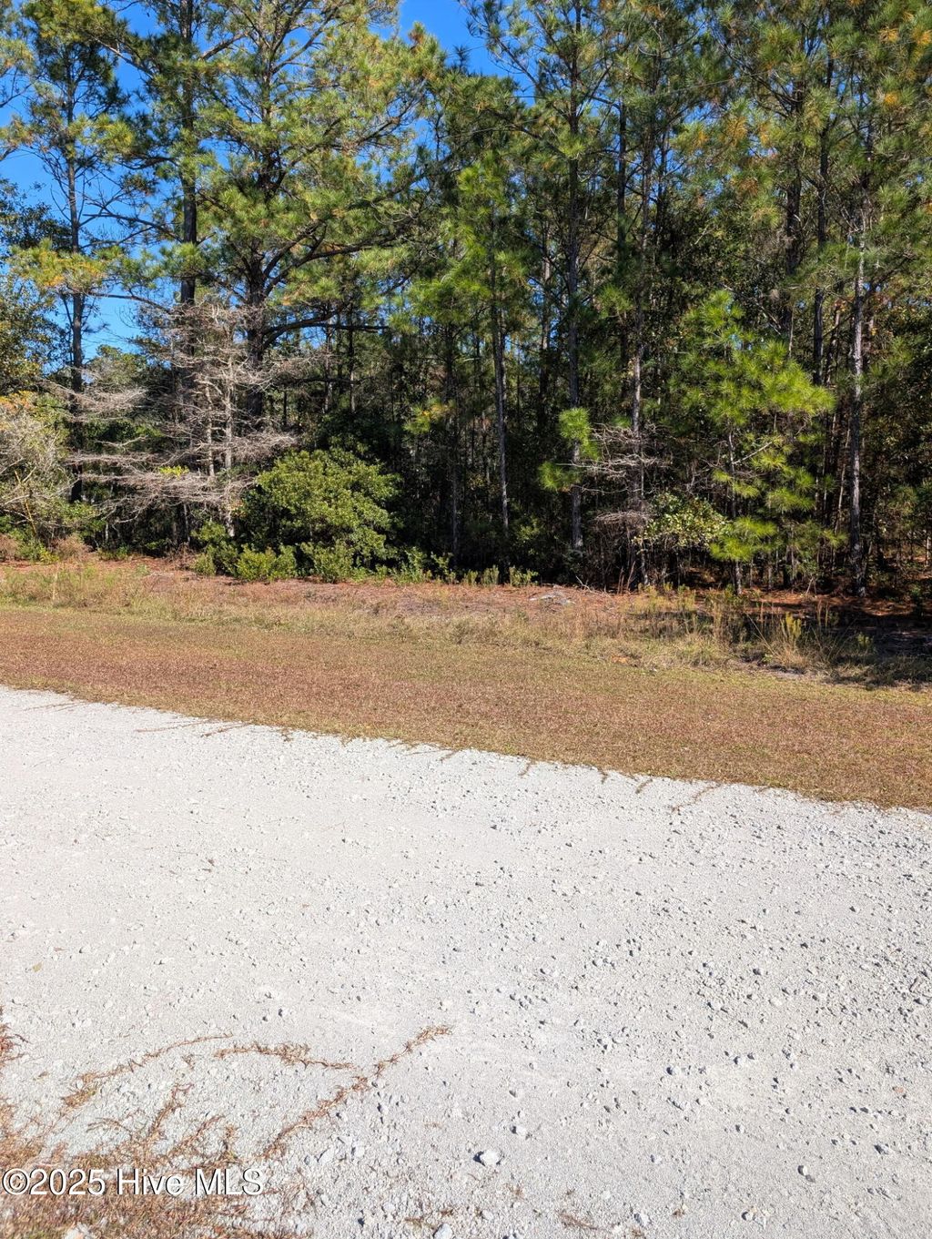 Photo of 5422 Big Oak Court SW, Shallotte, NC 28470 (MLS # 100541342)