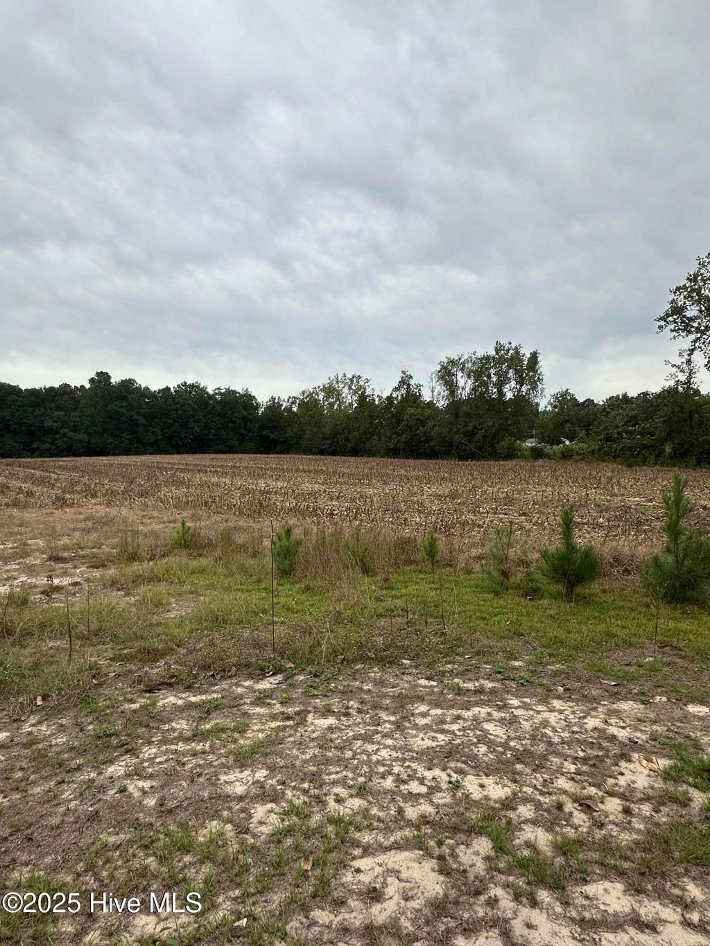 Photo of 134 James Porter Road, Kelly, NC 28448 (MLS # 100537925)
