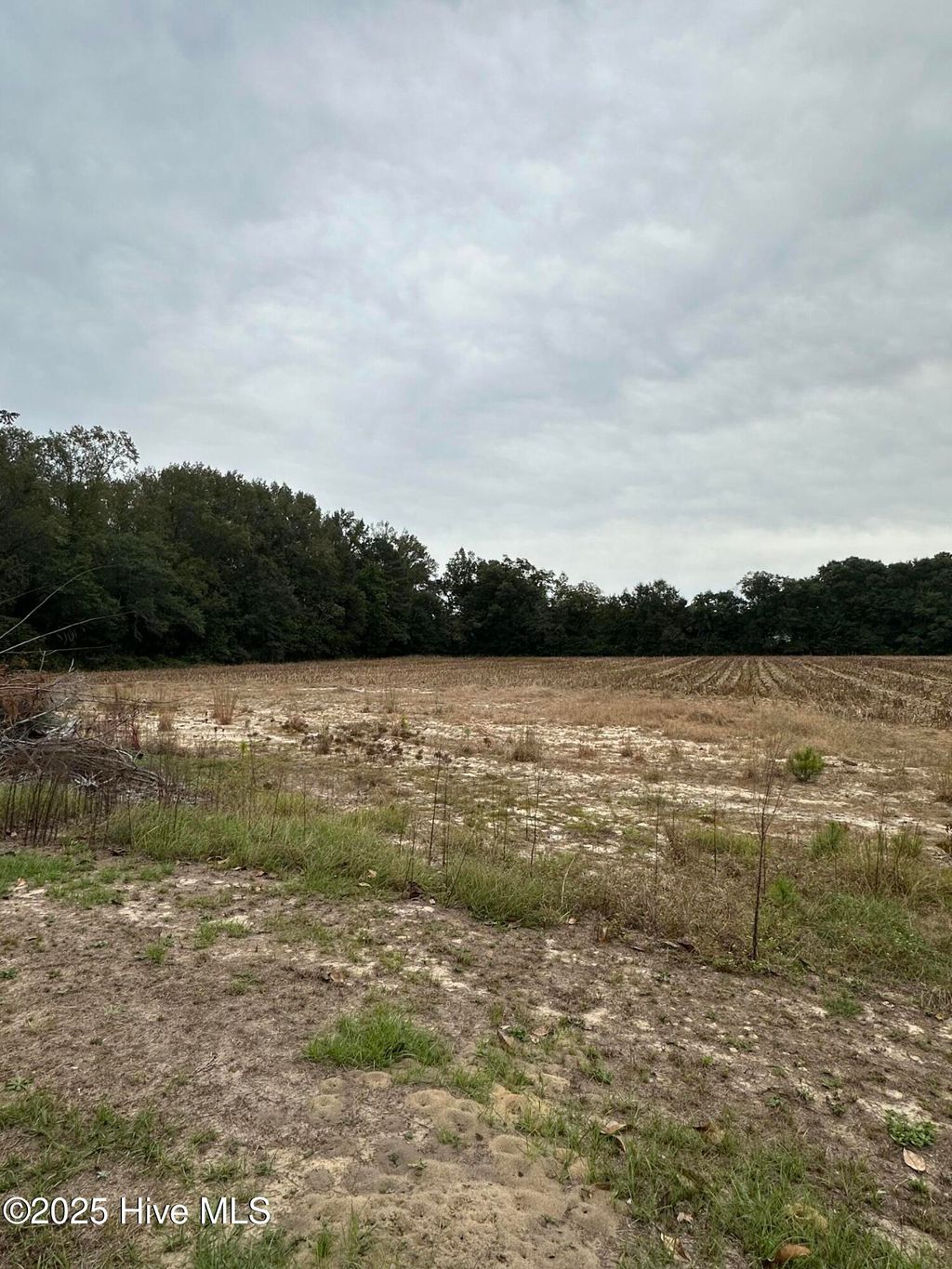 Photo of 134 James Porter Road, Kelly, NC 28448 (MLS # 100537925)