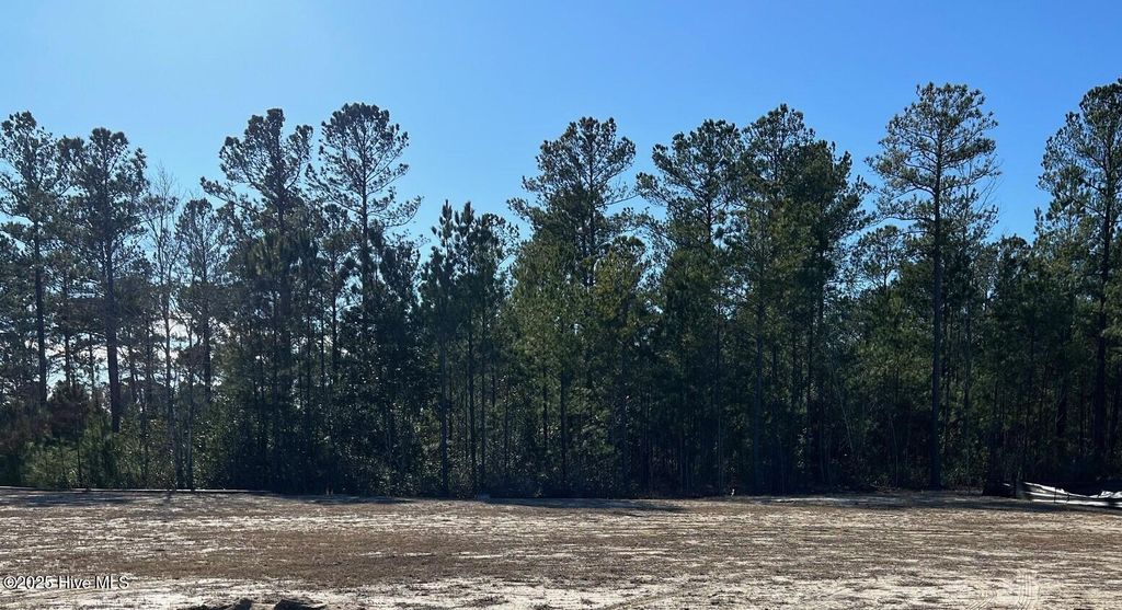 Photo of 3038 W Timber Crest Lane NE, Leland, NC 28451 (MLS # 100485662)