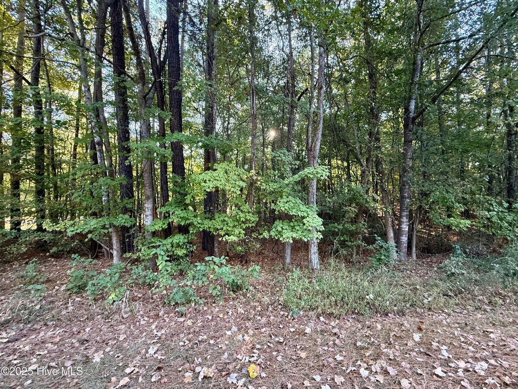 Photo of Tbd Clark Street, Hertford, NC 27944 (MLS # 100534733)