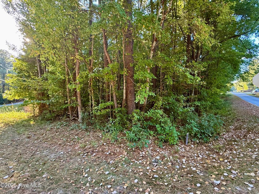Photo of Tbd Clark Street, Hertford, NC 27944 (MLS # 100534733)