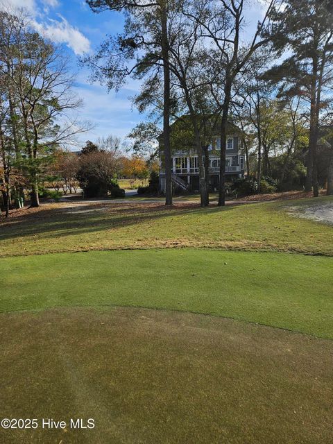 Photo of 257 Maple Creek Drive, Wallace, NC 28466 (MLS # 100544306)