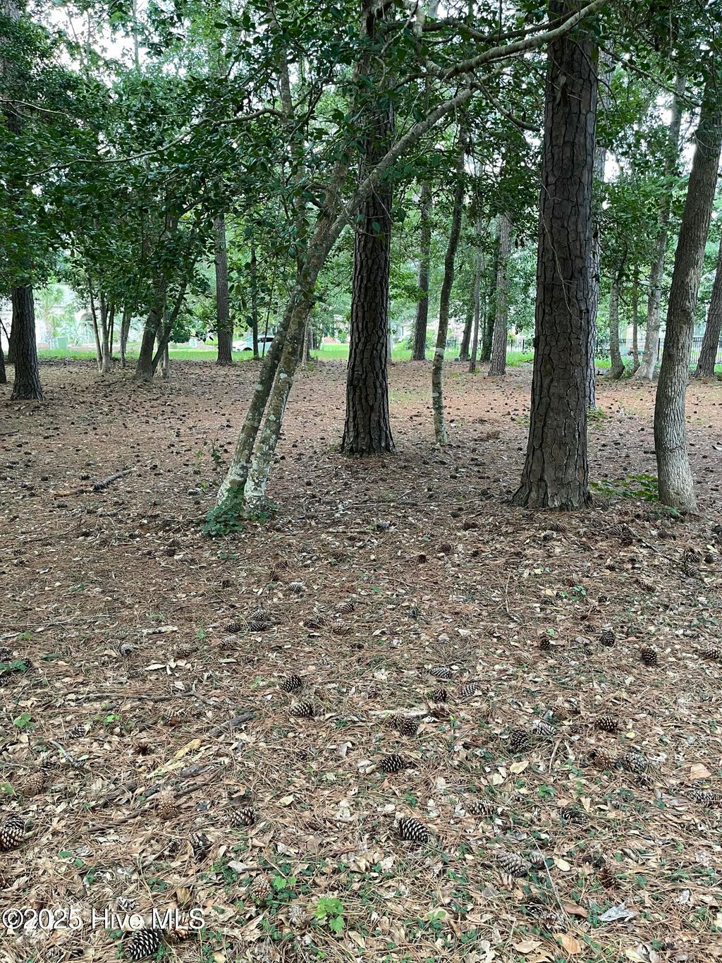 Photo of 41 Oyster Pointe Drive, Sunset Beach, NC 28468 (MLS # 100493250)