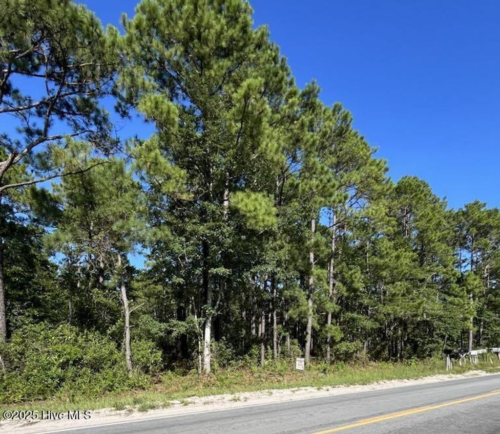 Photo of 1224 Gray Bridge Road SW, Shallotte, NC 28470 (MLS # 100516683)