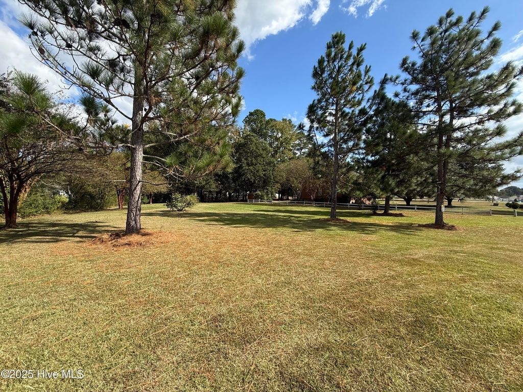 Photo of 2129 Briarwood Drive, Kinston, NC 28501 (MLS # 100535559)