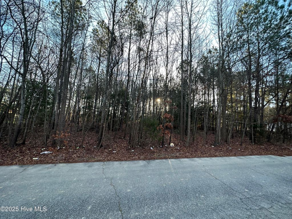 Photo of Tbd Pine Street, Conway, NC 27820 (MLS # 100540650)