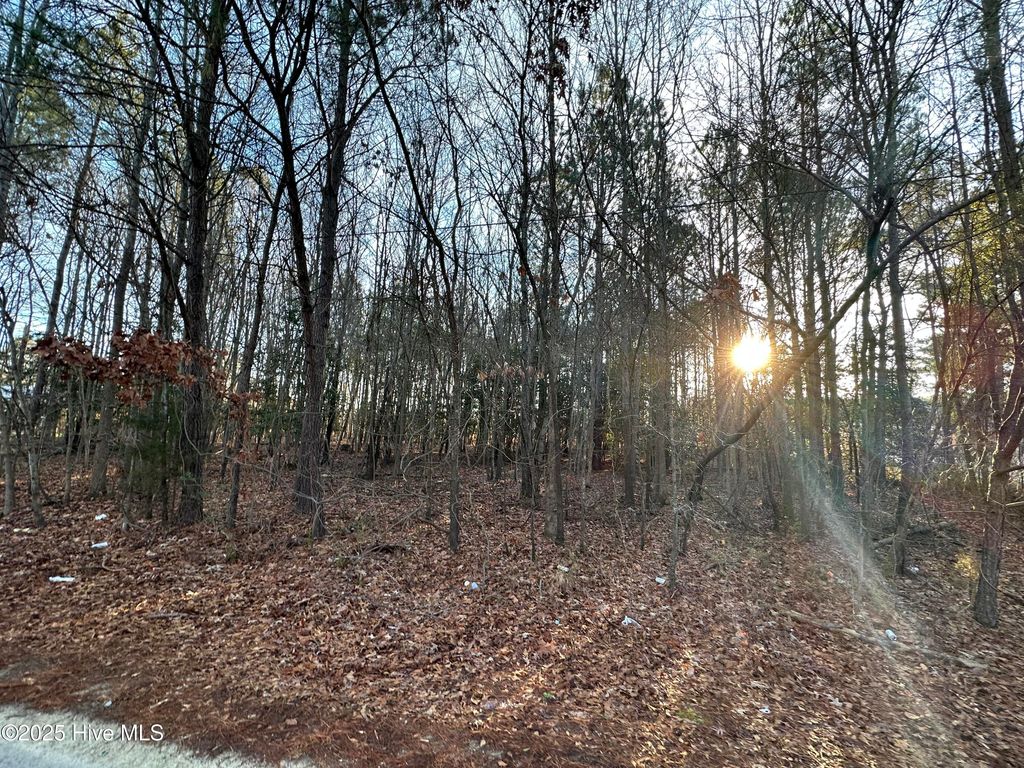 Photo of Tbd Pine Street, Conway, NC 27820 (MLS # 100540650)