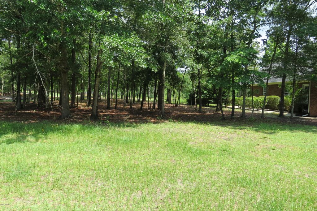 Photo of 1631 Amberwood Drive SE, Bolivia, NC 28422 (MLS # 100537309)