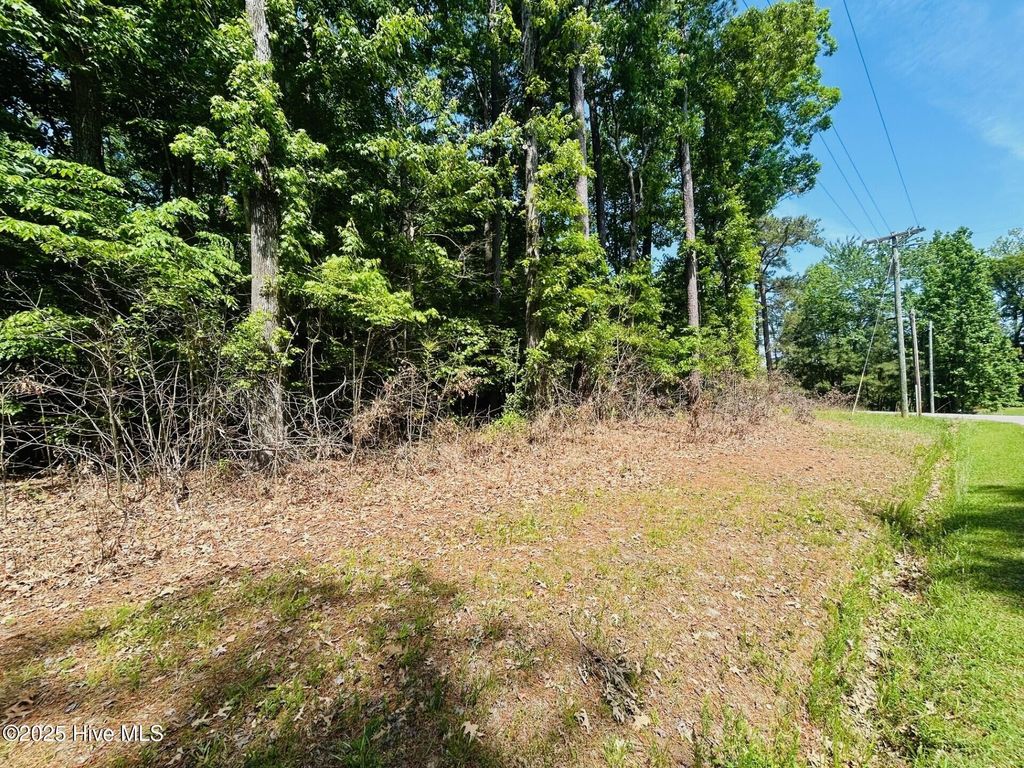 Photo of 40 Comanche Trail, Hertford, NC 27944 (MLS # 100505010)