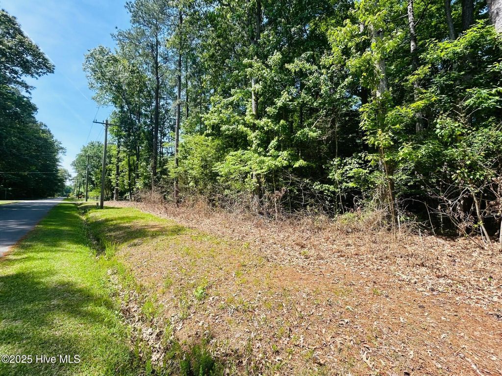 Photo of 40 Comanche Trail, Hertford, NC 27944 (MLS # 100505010)