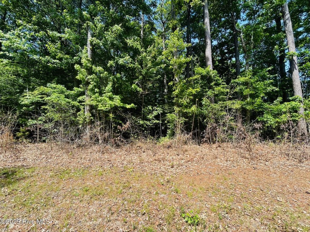 Photo of 40 Comanche Trail, Hertford, NC 27944 (MLS # 100505010)