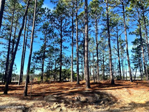 A home in Southern Pines