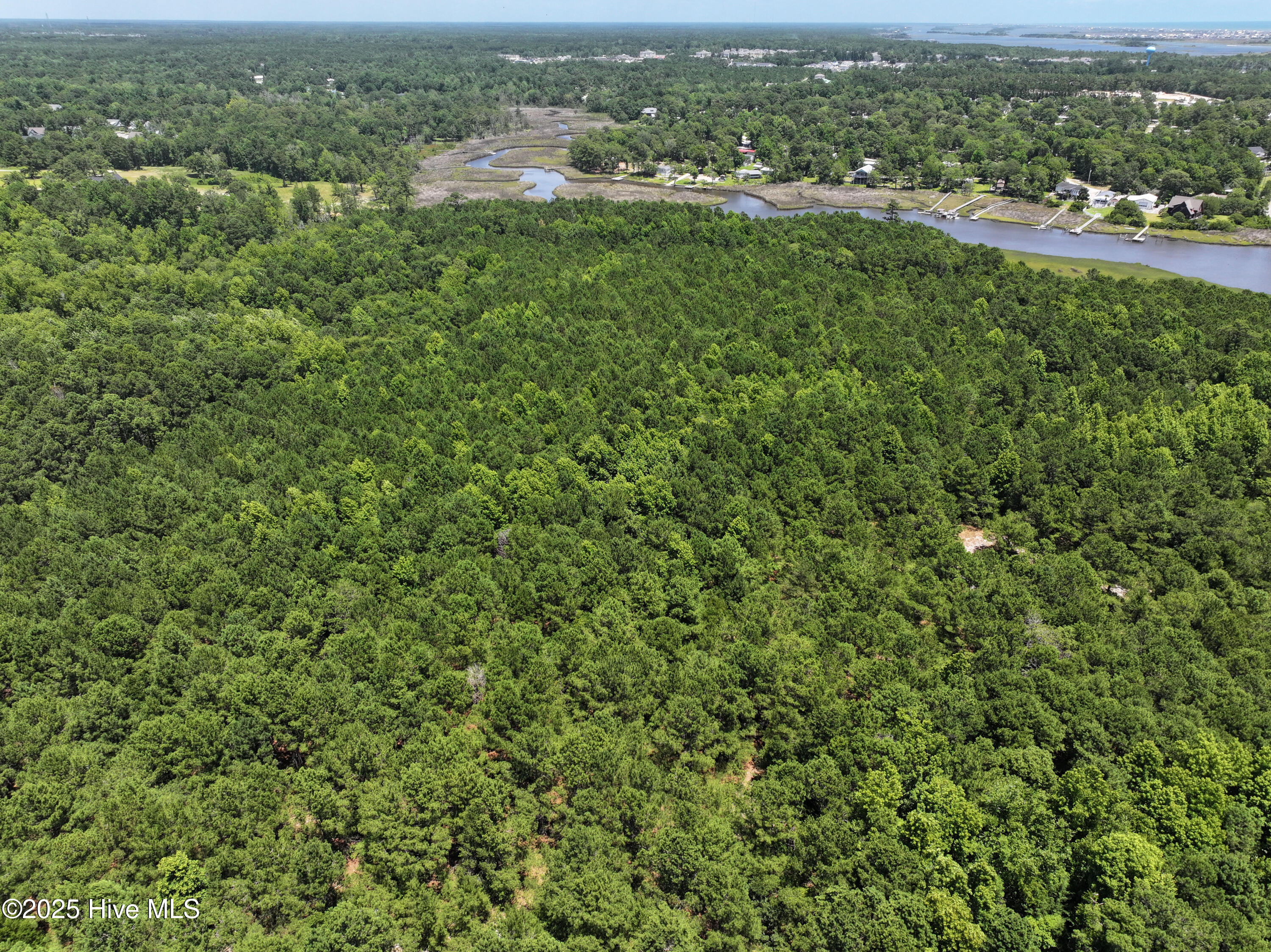 141.83 Acres Watts Landing Road