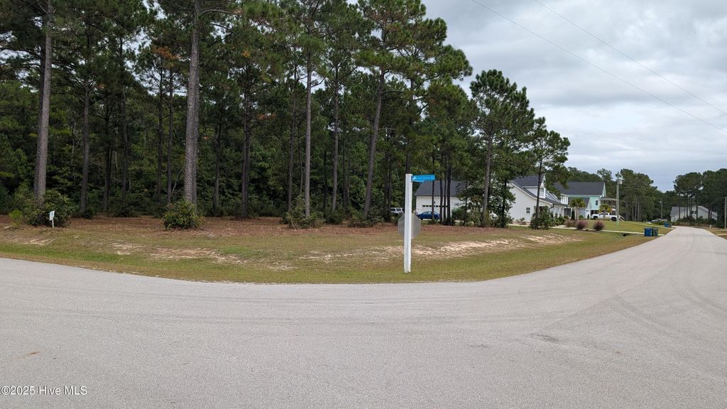 Photo of 167 Gus Horne Road, Holly Ridge, NC 28445 (MLS # 100535745)