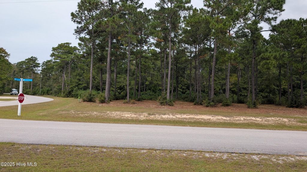 Photo of 167 Gus Horne Road, Holly Ridge, NC 28445 (MLS # 100535745)