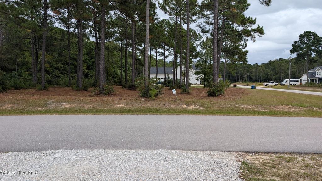 Photo of 167 Gus Horne Road, Holly Ridge, NC 28445 (MLS # 100535745)