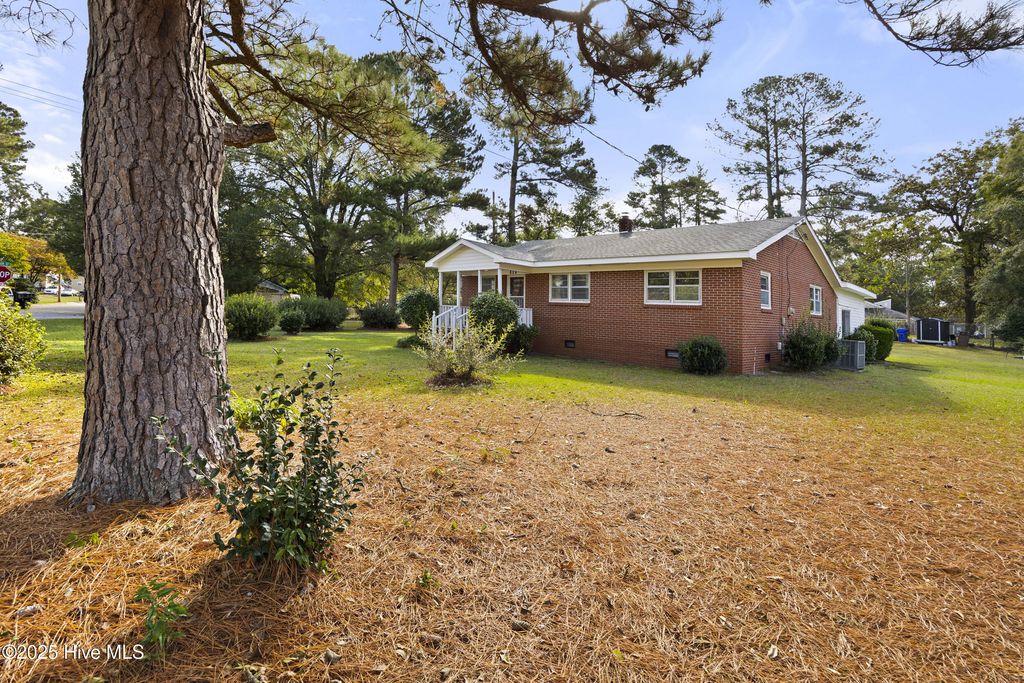 Photo of 601 Winfrey Street, Clinton, NC 28328 (MLS # 100536797)