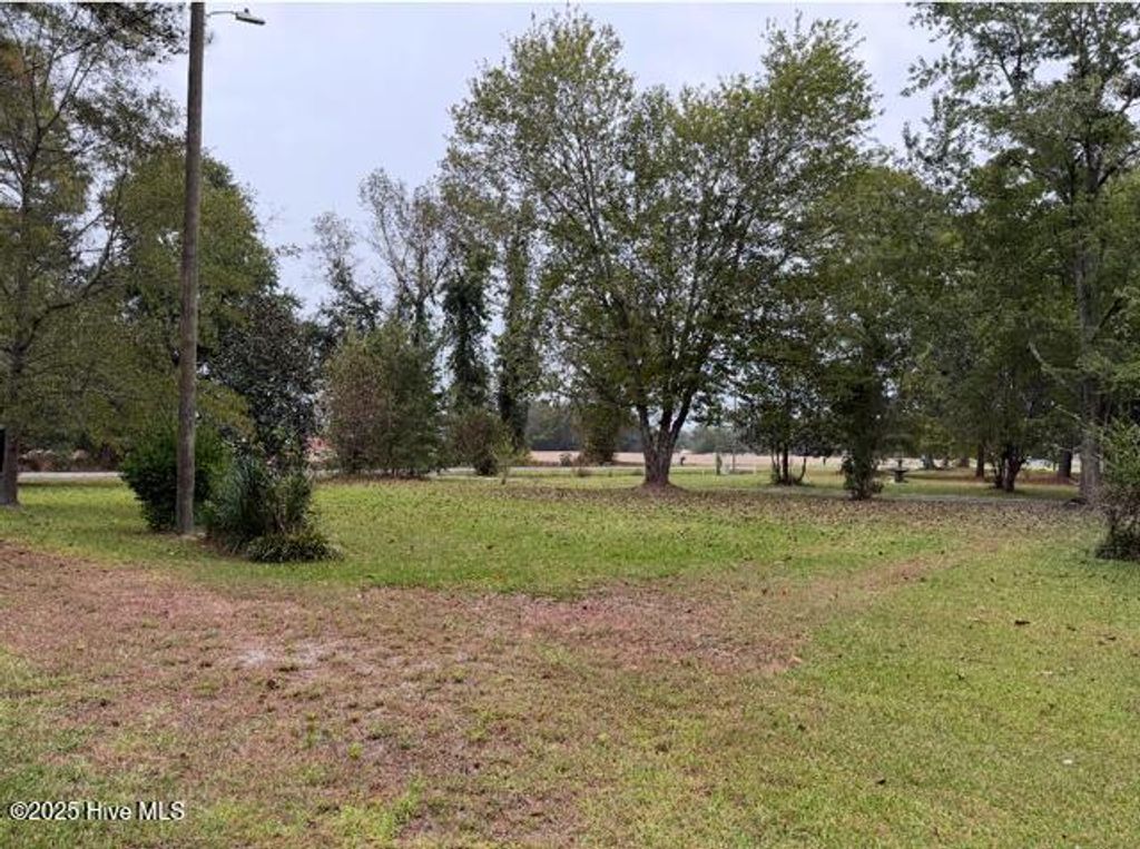 Photo of 639 Cornwallis Road, Teachey, NC 28464 (MLS # 100538703)