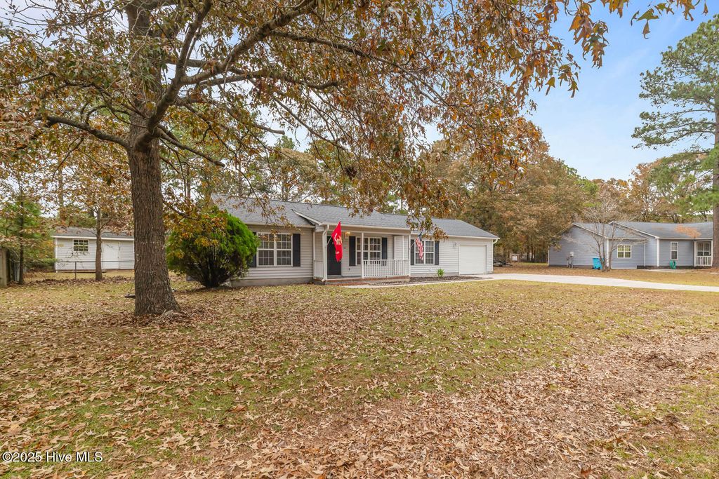 Photo of 204 Chappell Creek Court, Richlands, NC 28574 (MLS # 100540626)