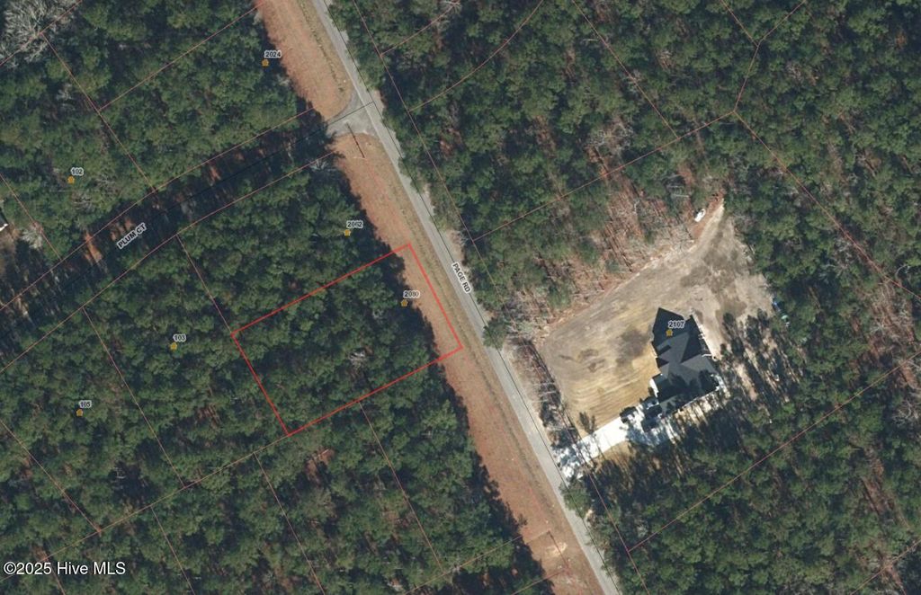 Photo of 2080 Page Road, Burgaw, NC 28425 (MLS # 100535426)
