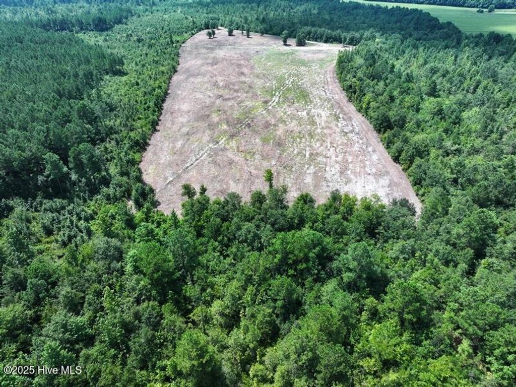 Photo of Tbd Alamac Road, Lumberton, NC 28358 (MLS # 100538650)