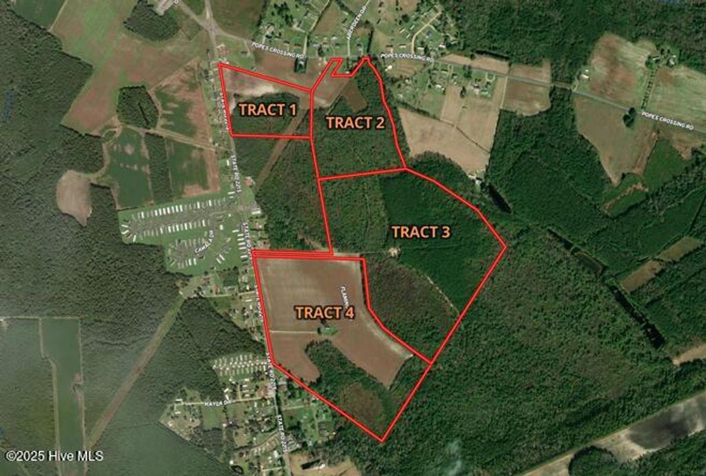 Photo of Tbd Alamac Road, Lumberton, NC 28358 (MLS # 100538650)