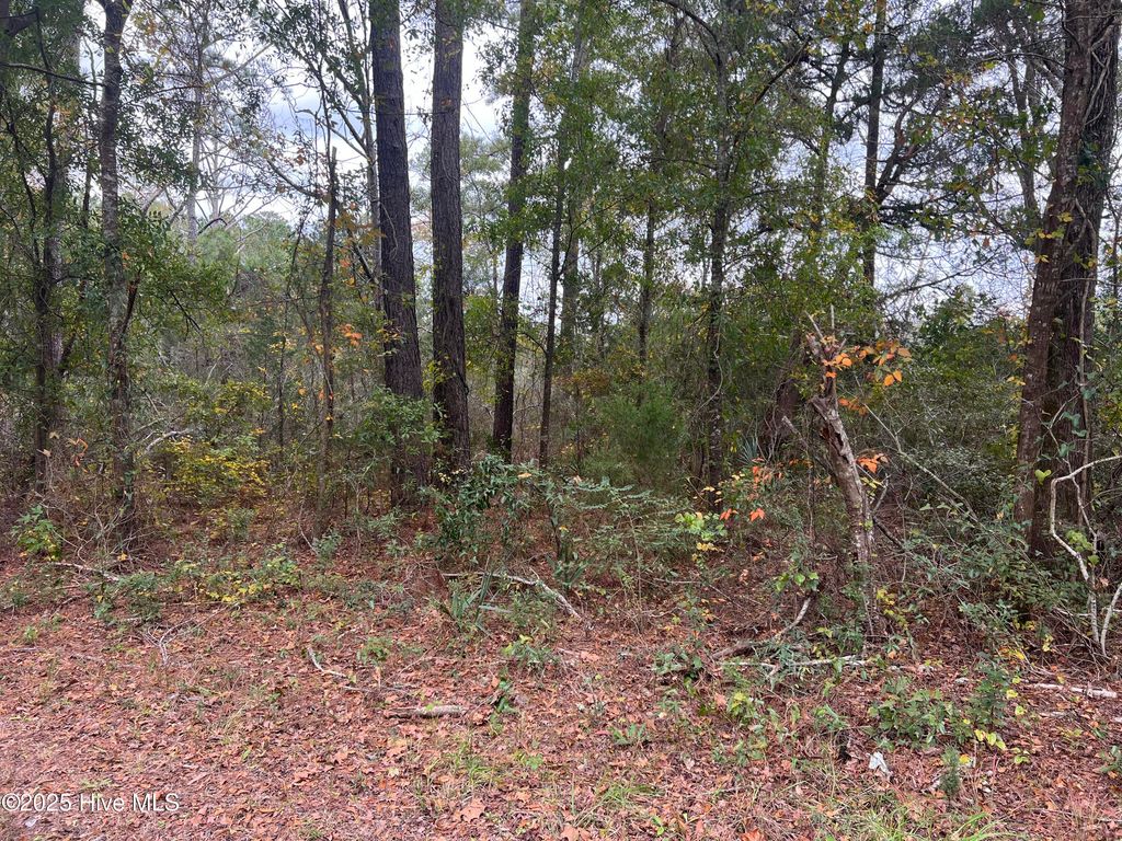 Photo of 0 Nc 304, Bayboro, NC 28515 (MLS # 100540419)