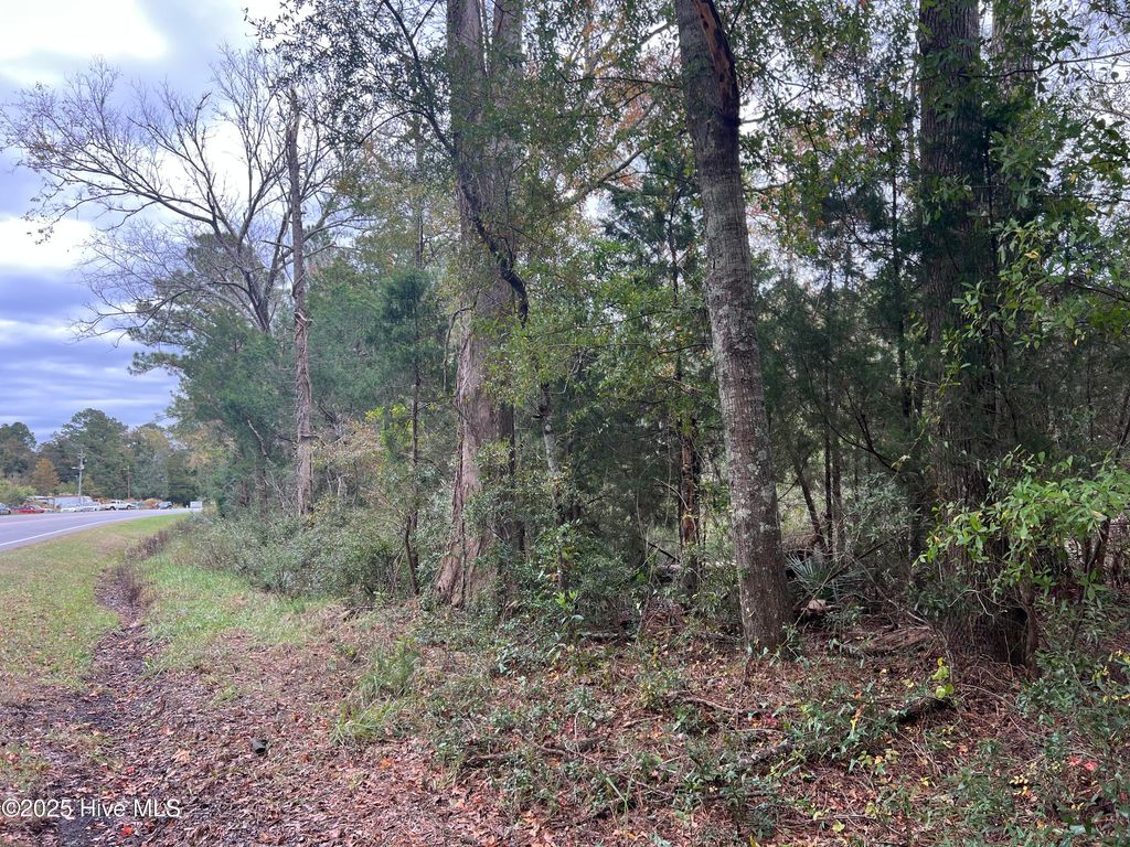 Photo of 0 Nc 304, Bayboro, NC 28515 (MLS # 100540419)