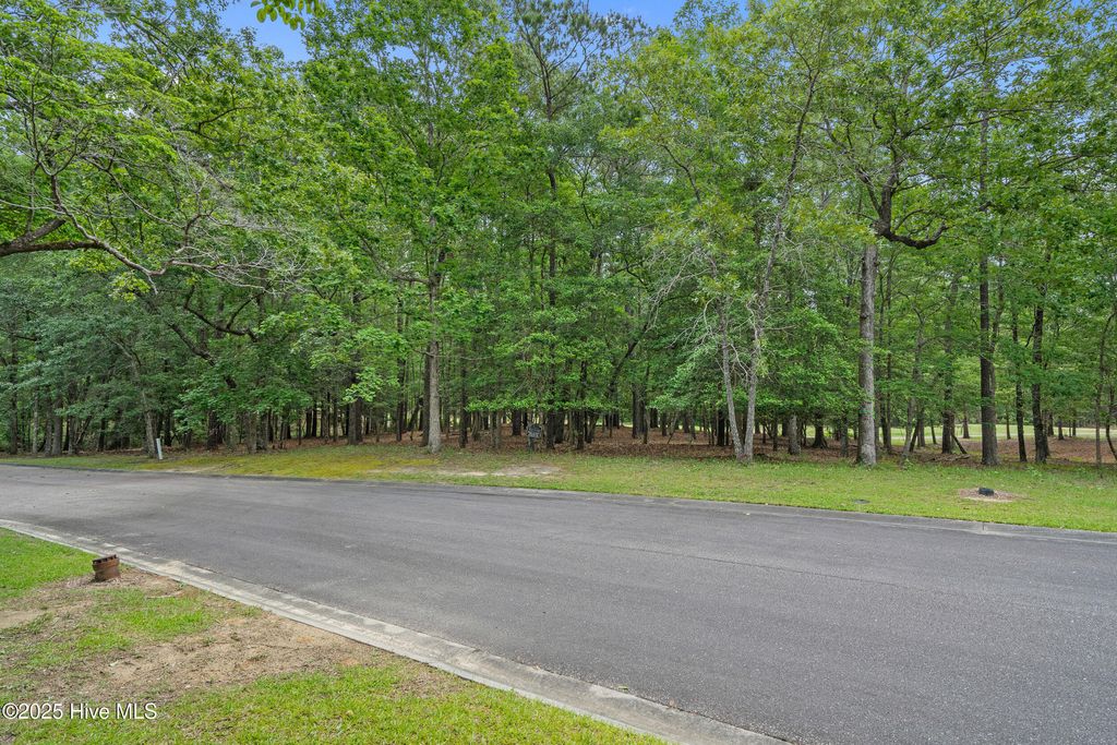Photo of 3525 Fairway Crest Drive SW, Shallotte, NC 28470 (MLS # 100505913)
