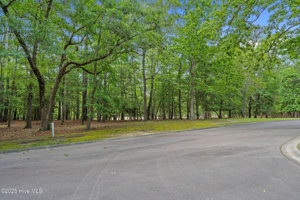 Photo of 3525 Fairway Crest Drive SW, Shallotte, NC 28470 (MLS # 100505913)