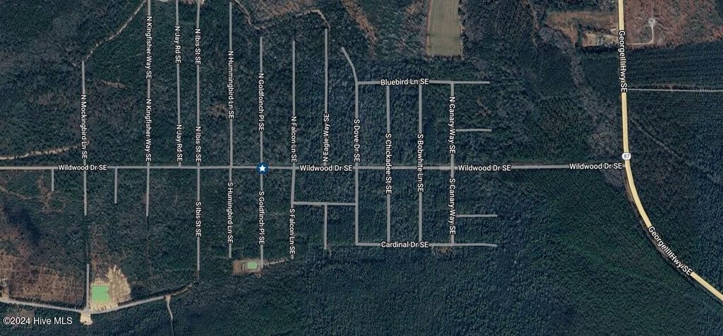 Photo of 12 Wildwood Drive SE, Boiling Spring Lakes, NC 28461 (MLS # 100477697)