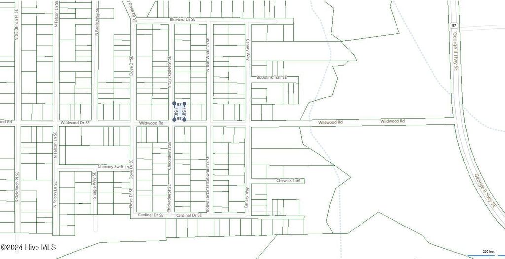 Photo of 12 Wildwood Drive SE, Boiling Spring Lakes, NC 28461 (MLS # 100477697)