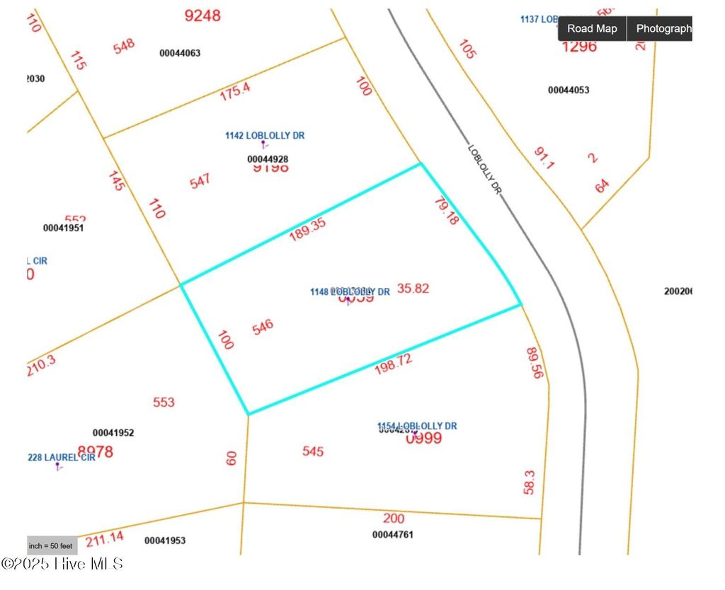 Photo of 1148 Loblolly Drive, Vass, NC 28394 (MLS # 100487081)