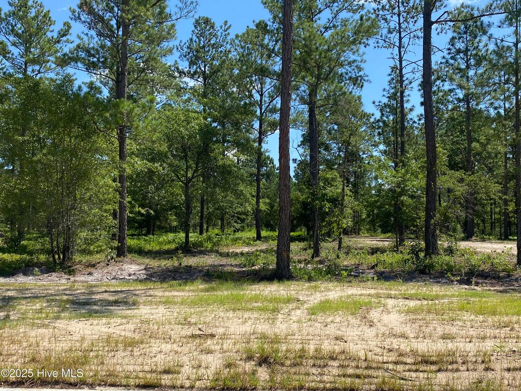 Photo of 8742 Compass Pointe West Wynd NE, Leland, NC 28451 (MLS # 100514792)