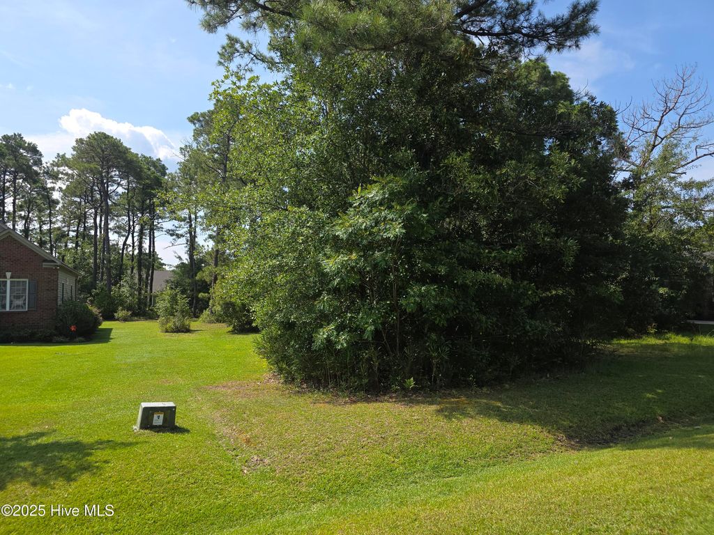 Photo of 1208 Crows Nest Court, New Bern, NC 28560 (MLS # 100522261)