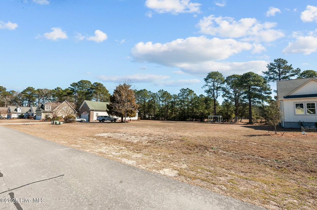 Photo of 906 Sea Holly Court, New Bern, NC 28560 (MLS # 100492259)